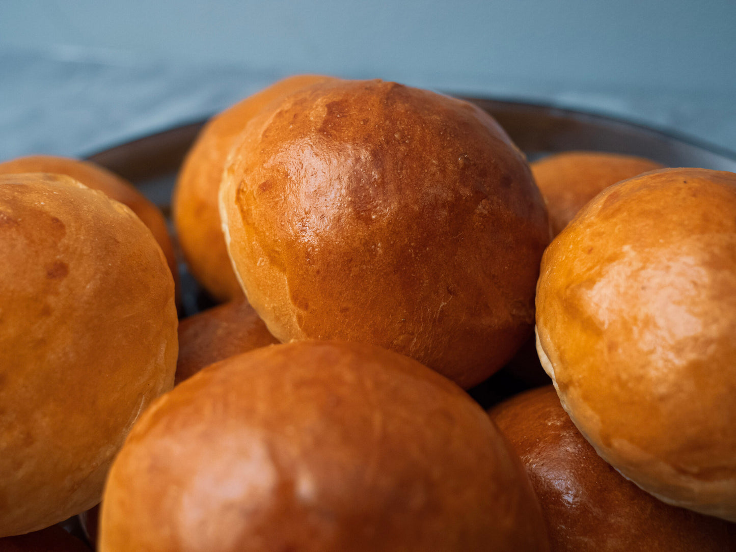 Agave Rolls image 0